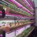LED pásik pre rast rastlín, SMD 5050, 5m, 60 LED/m, 14,4W/m vodotesný, vysoko svietivý pás